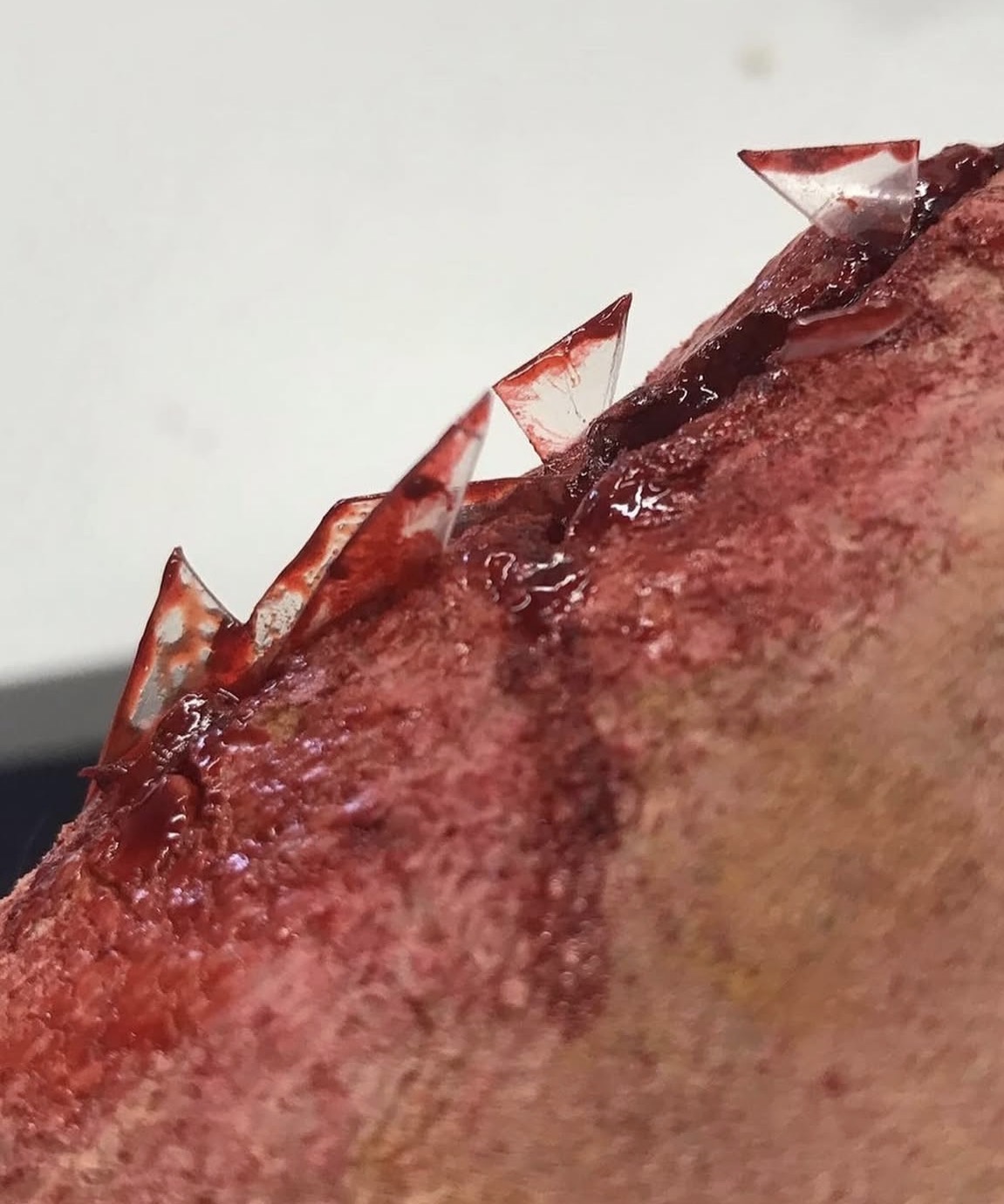 Macro detail — shattered glass shards embedded in bloodied skin